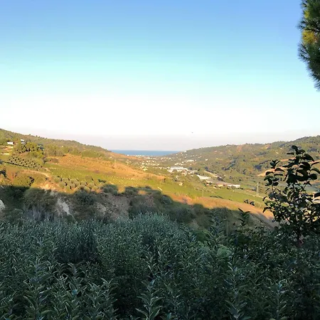 Casa Vacanze Cristina - Holiday House *